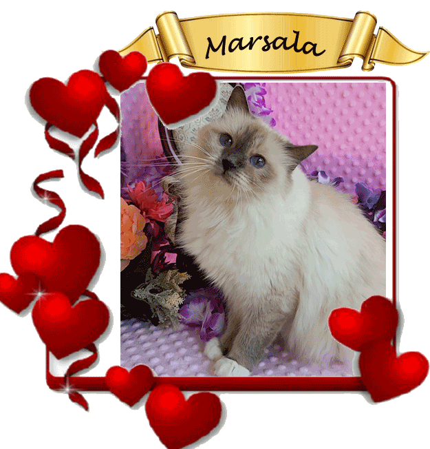 Marsala